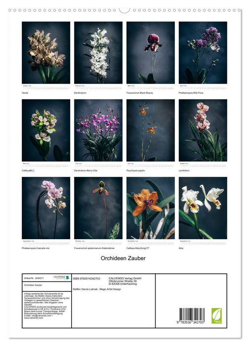 Orchideen Zauber (CALVENDO Premium Wandkalender 2026)