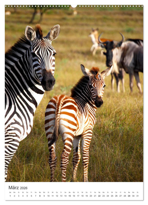 Muttertiere und ihre Jungen (CALVENDO Premium Wandkalender 2026)