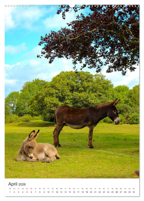 Muttertiere und ihre Jungen (CALVENDO Premium Wandkalender 2026)