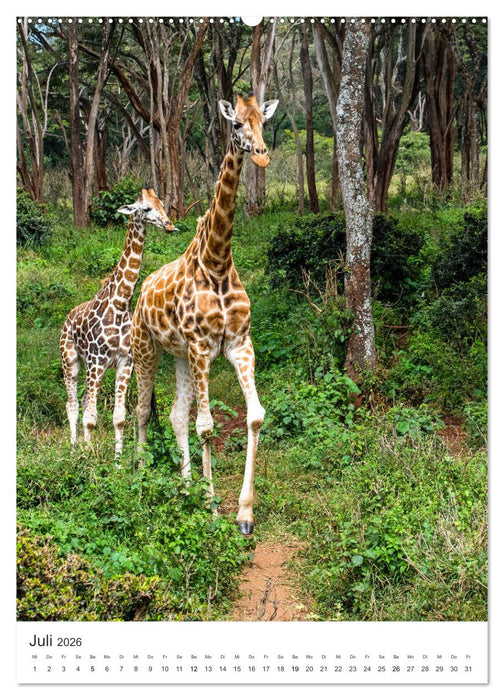Muttertiere und ihre Jungen (CALVENDO Premium Wandkalender 2026)