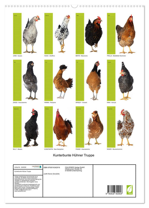 Kunterbunte Hühner Truppe (CALVENDO Premium Wandkalender 2026)