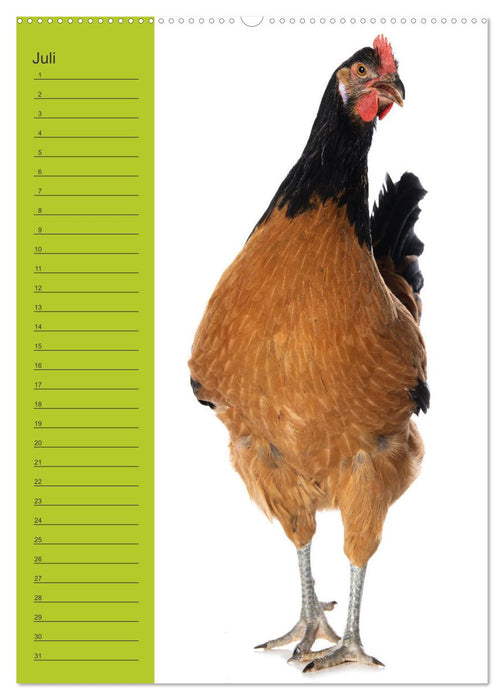 Kunterbunte Hühner Truppe (CALVENDO Premium Wandkalender 2026)