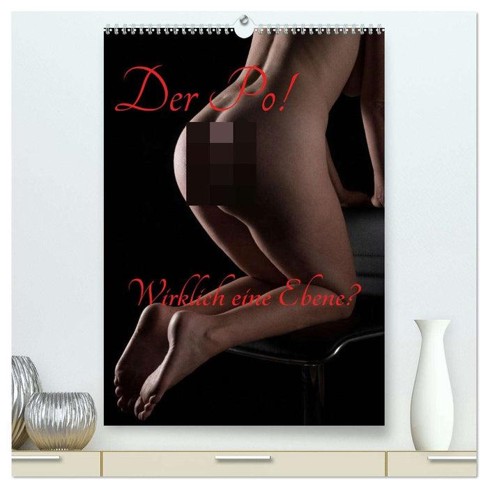 Der Po! Wirklich eine Ebene? (CALVENDO Premium Wandkalender 2026)