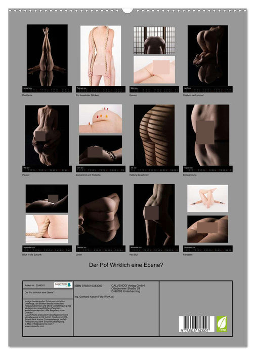 Der Po! Wirklich eine Ebene? (CALVENDO Premium Wandkalender 2026)