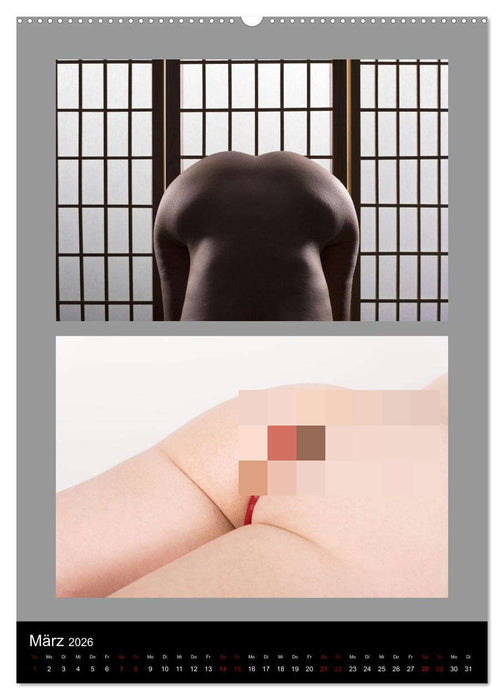 Der Po! Wirklich eine Ebene? (CALVENDO Premium Wandkalender 2026)