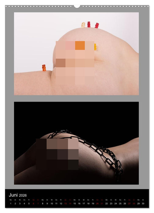 Der Po! Wirklich eine Ebene? (CALVENDO Premium Wandkalender 2026)