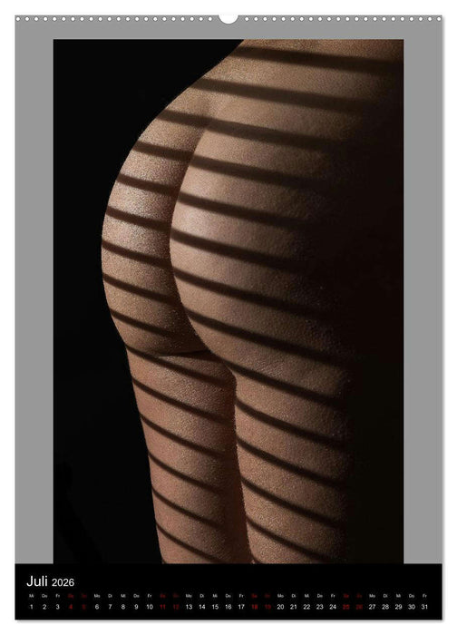 Der Po! Wirklich eine Ebene? (CALVENDO Premium Wandkalender 2026)