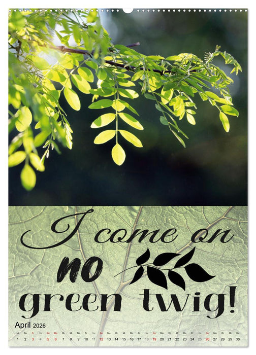 Cooles Denglisch (CALVENDO Premium Wandkalender 2026)