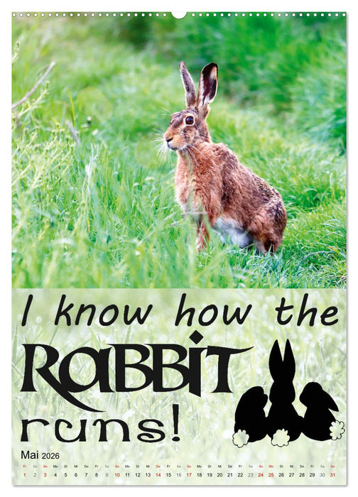 Cooles Denglisch (CALVENDO Premium Wandkalender 2026)