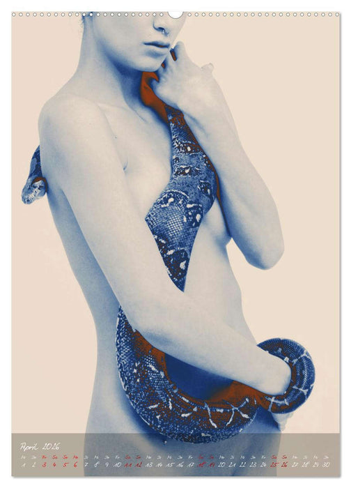 Haut an Haut (CALVENDO Wandkalender 2026)