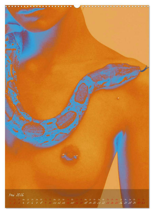 Haut an Haut (CALVENDO Wandkalender 2026)