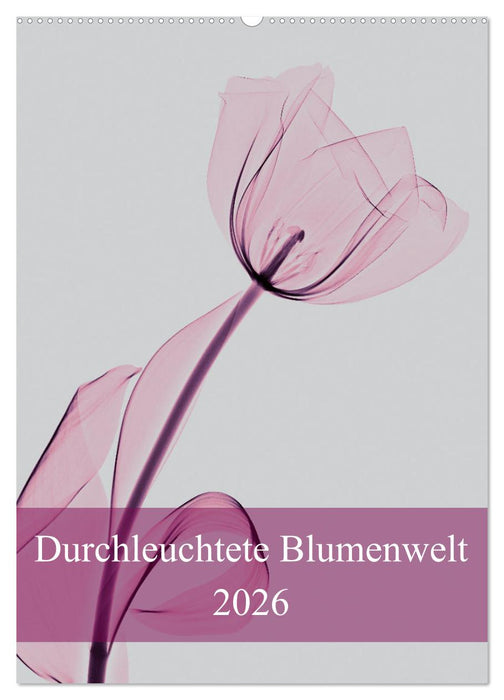 Durchleuchtete Blumenwelt 2026 (CALVENDO Wandkalender 2026)