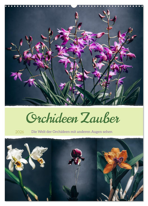 Orchideen Zauber (CALVENDO Wandkalender 2026)