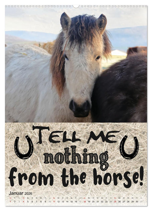 Cooles Denglisch (CALVENDO Wandkalender 2026)