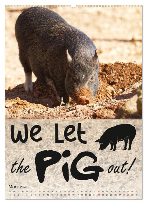 Cooles Denglisch (CALVENDO Wandkalender 2026)