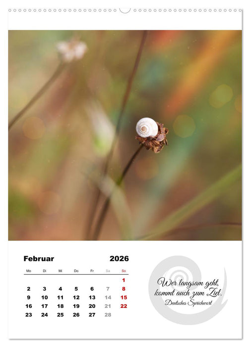 Schnecklein (CALVENDO Premium Wandkalender 2026)