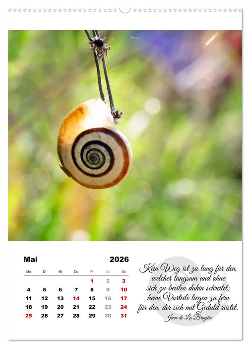 Schnecklein (CALVENDO Premium Wandkalender 2026)
