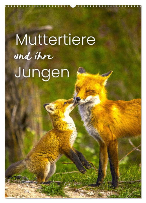 Muttertiere und ihre Jungen (CALVENDO Wandkalender 2026)