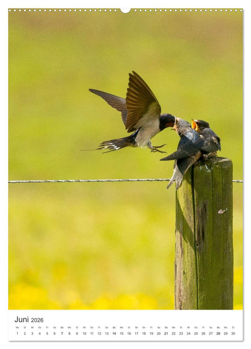 Muttertiere und ihre Jungen (CALVENDO Wandkalender 2026)