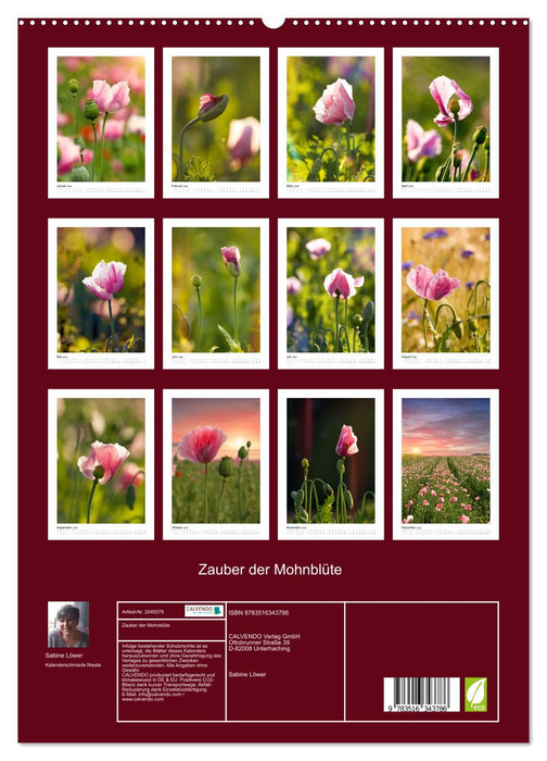 Zauber der Mohnblüte (CALVENDO Premium Wandkalender 2026)
