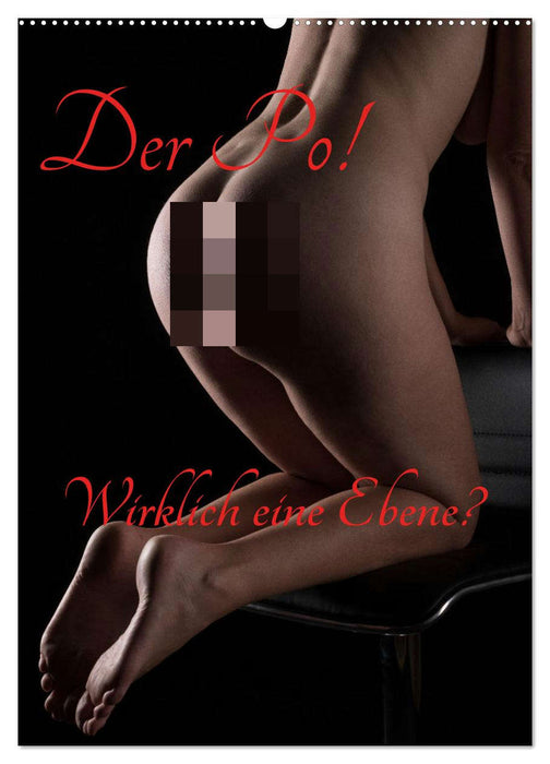 Der Po! Wirklich eine Ebene? (CALVENDO Wandkalender 2026)