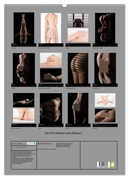 Der Po! Wirklich eine Ebene? (CALVENDO Wandkalender 2026)