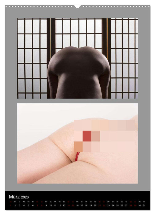 Der Po! Wirklich eine Ebene? (CALVENDO Wandkalender 2026)