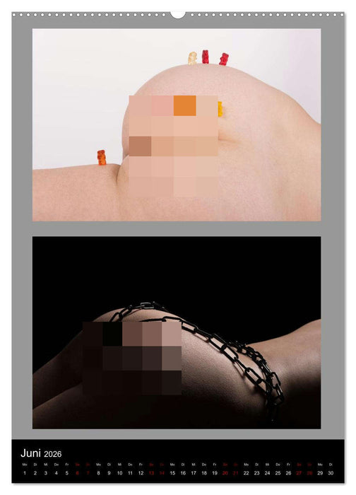 Der Po! Wirklich eine Ebene? (CALVENDO Wandkalender 2026)