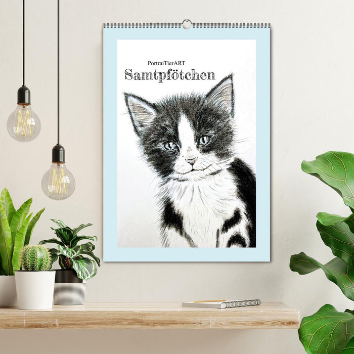 PortraiTierART Samtpfötchen (CALVENDO Wandkalender 2026)