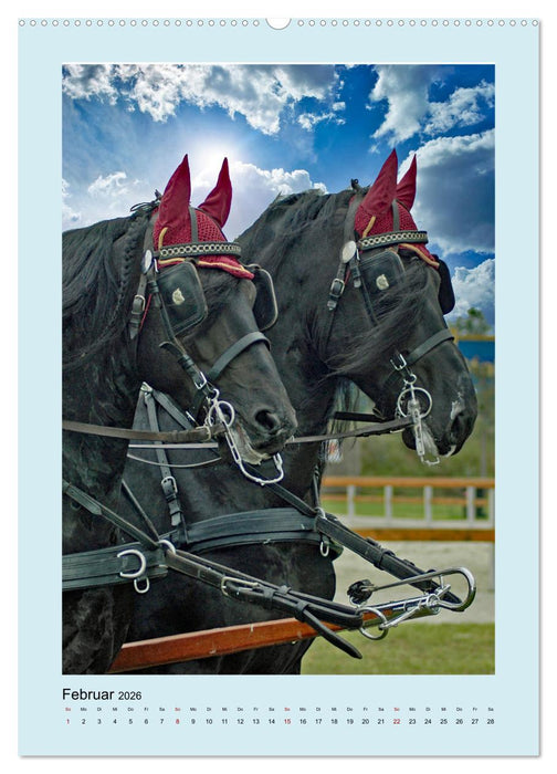 Kutschpferde im Portait (CALVENDO Premium Wandkalender 2026)
