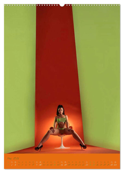 Sehgewohnheiten (CALVENDO Premium Wandkalender 2026)