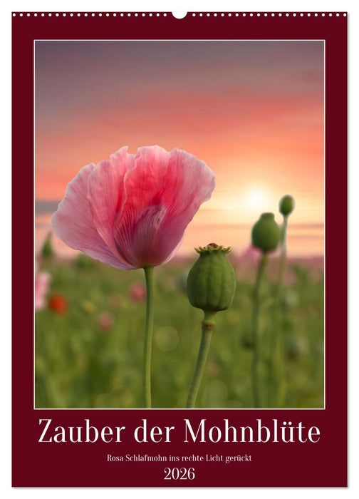 Zauber der Mohnblüte (CALVENDO Wandkalender 2026)