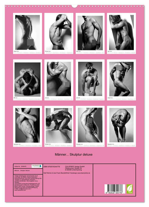 Männer... Skulptur deluxe (CALVENDO Premium Wandkalender 2026)