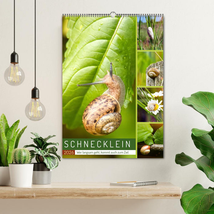 Schnecklein (CALVENDO Wandkalender 2026)