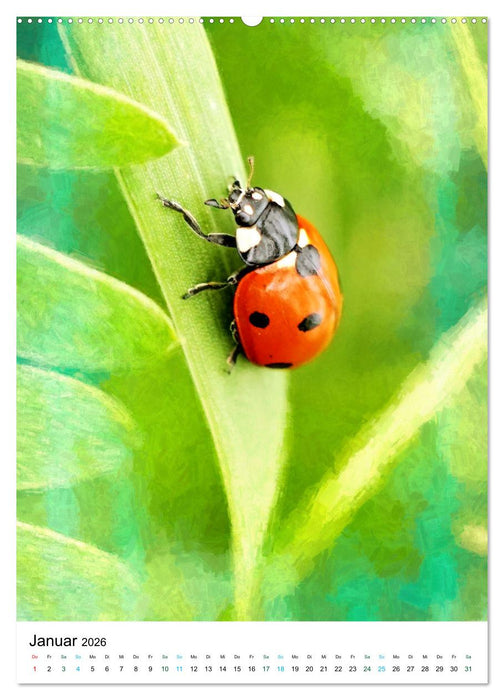 Sommerglück - Artwork (CALVENDO Premium Wandkalender 2026)