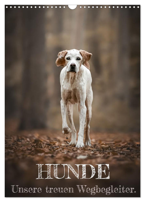 Hunde - Unsere treuen Wegbegleiter. (CALVENDO Wandkalender 2026)
