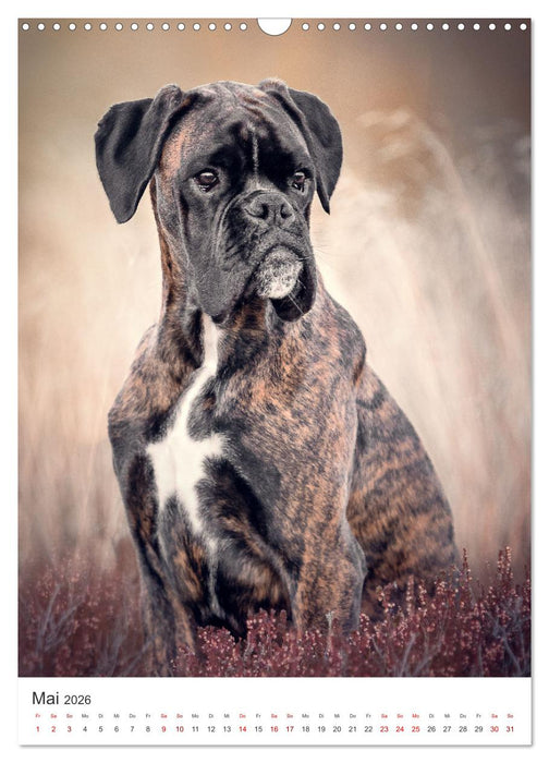 Hunde - Unsere treuen Wegbegleiter. (CALVENDO Wandkalender 2026)