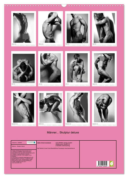Männer... Skulptur deluxe (CALVENDO Wandkalender 2026)