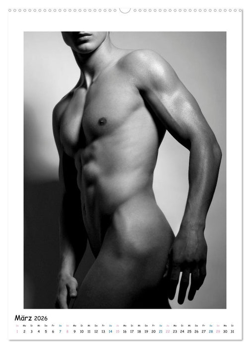 Männer... Skulptur deluxe (CALVENDO Wandkalender 2026)