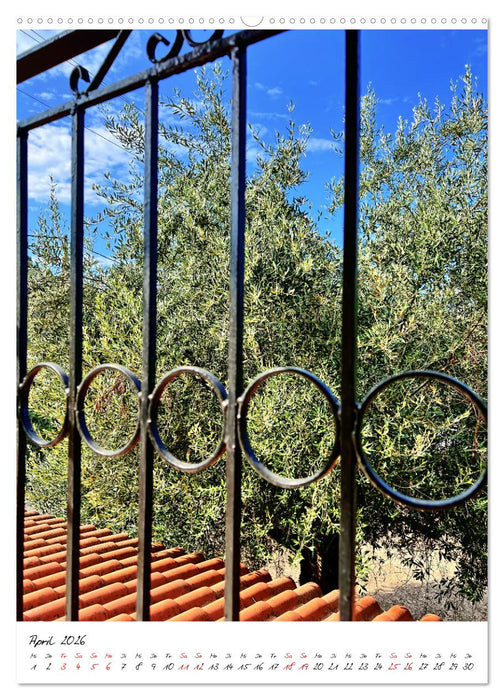 Faszinierende Olivenbäume (CALVENDO Premium Wandkalender 2026)