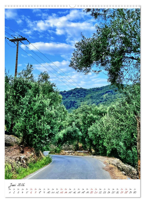 Faszinierende Olivenbäume (CALVENDO Premium Wandkalender 2026)