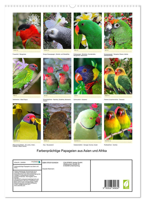Farbenprächtige Papageien aus Asien und Afrika (CALVENDO Premium Wandkalender 2026)
