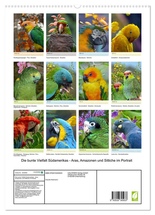 Die bunte Vielfalt Südamerikas - Aras, Amazonen und Sittiche im Portrait (CALVENDO Premium Wandkalender 2026)