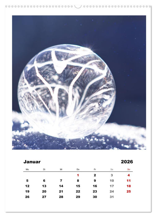 Frostige Seifenblasen (CALVENDO Premium Wandkalender 2026)