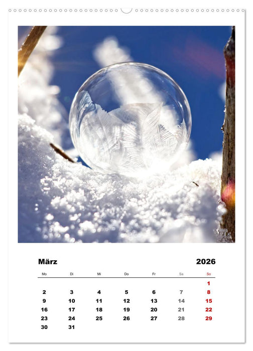 Frostige Seifenblasen (CALVENDO Premium Wandkalender 2026)