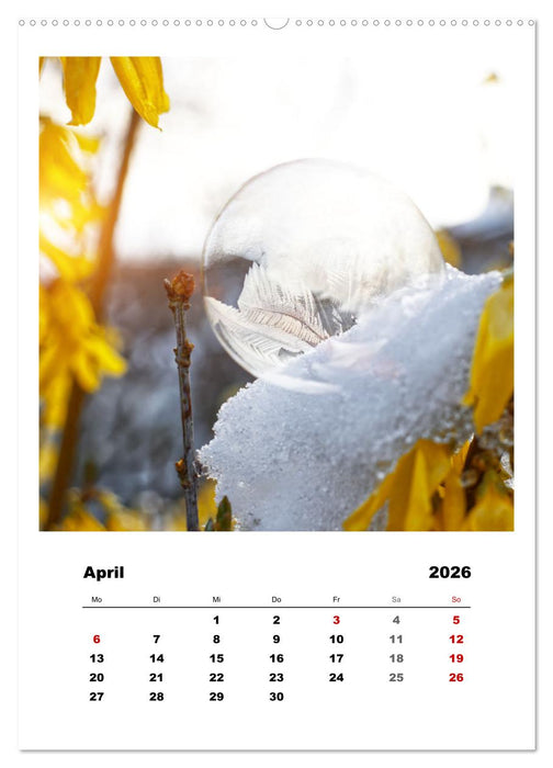 Frostige Seifenblasen (CALVENDO Premium Wandkalender 2026)