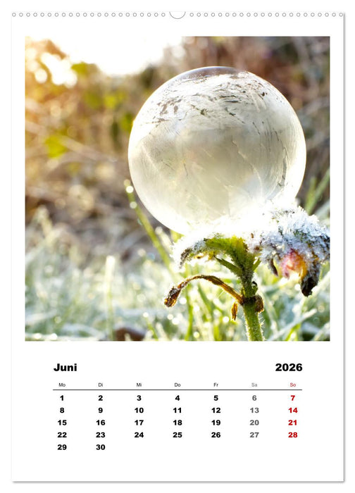 Frostige Seifenblasen (CALVENDO Premium Wandkalender 2026)