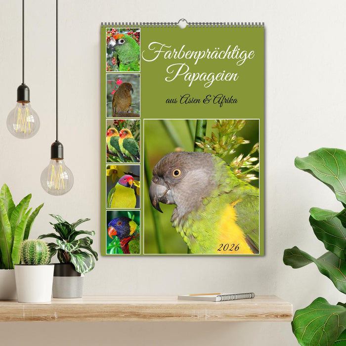Farbenprächtige Papageien aus Asien und Afrika (CALVENDO Wandkalender 2026)