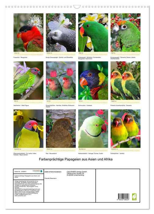 Farbenprächtige Papageien aus Asien und Afrika (CALVENDO Wandkalender 2026)