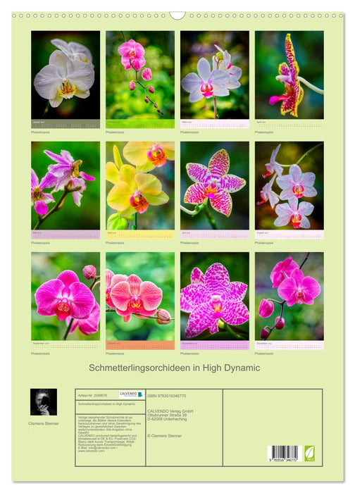 Schmetterlingsorchideen in High Dynamic (CALVENDO Wandkalender 2026)